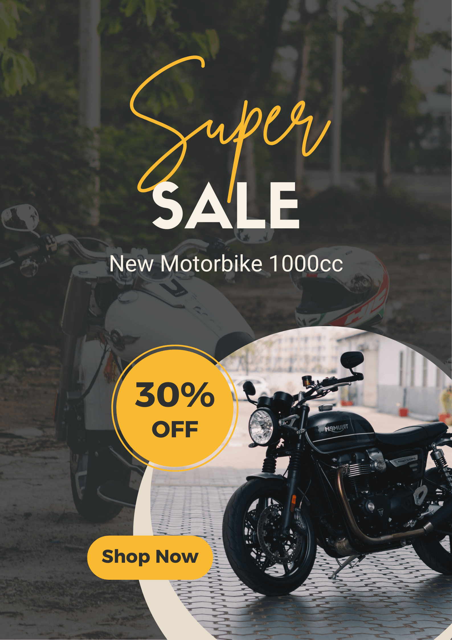 Bike — bike_v1
